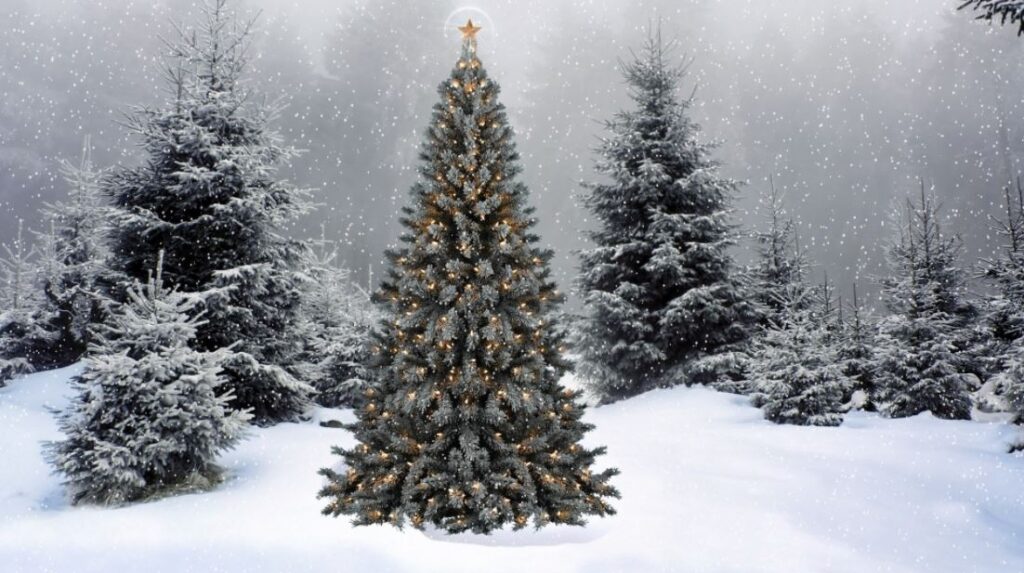 Snow Christmas Tree